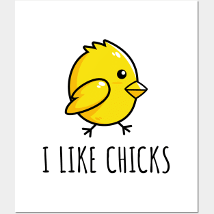 I Like Chicks - Funny Lesbian Posters and Art